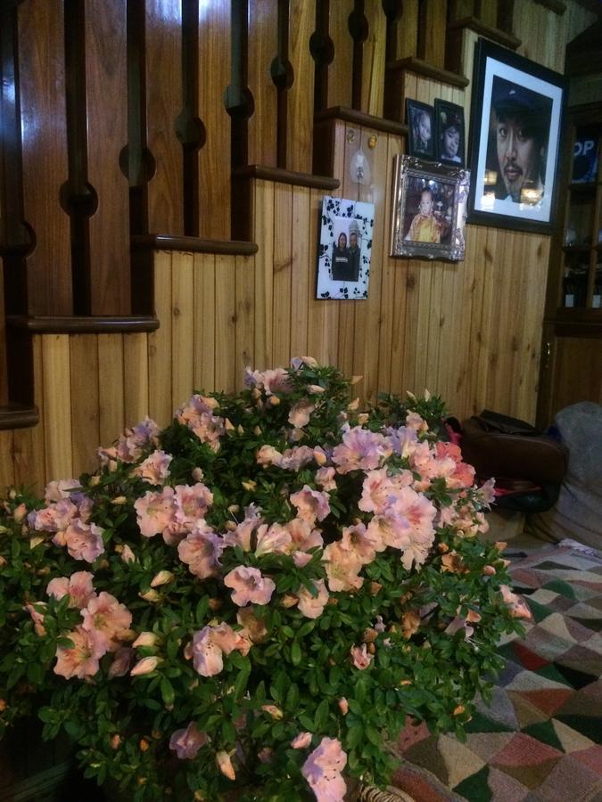 Ngawang Homestay Darjeeling  Eksteriør billede